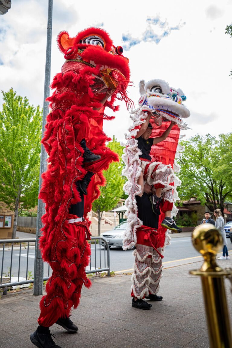 Phap Hoa Lion Dance